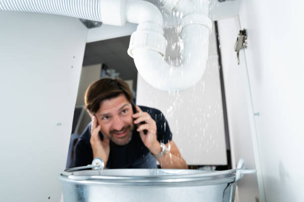 Best Septic Systems  in Big Lake, MN