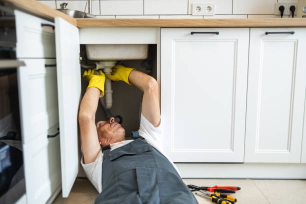 Best Sprinkler Systems  in Big Lake, MN